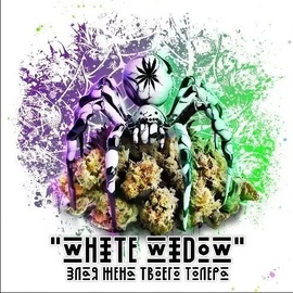 Бошки "White Widow"