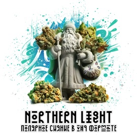 Бошки "Northern Lights"