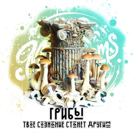 Псилоцибиновые грибы